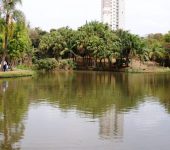 Prefeitura inicia desassoreamento do lago do Parque da Água Vermelha nesta segunda-feira (9)