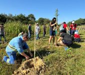 Saae-Sorocaba promove plantio de 950 mudas nativas no Jardim Santa Catarina