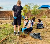 Prefeitura de Sorocaba realiza plantio de 4 mil mudas de árvores no bairro Herbert de Souza