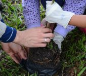 Dia Mundial do Meio Ambiente tem programação em Sorocaba