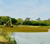 Saae-Sorocaba executa limpeza e remoção de plantas aquáticas em lago do Parque Vitória Régia