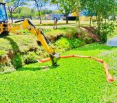 Saae-Sorocaba faz limpeza e remoção de plantas aquáticas no Parque dos Espanhóis
