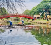 Saae-Sorocaba conclui limpeza de bacia de contenção no Parque Kasato Maru