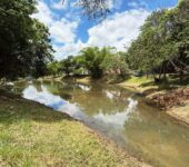 Saae-Sorocaba conclui limpeza de lago no Parque da Vila Formosa
